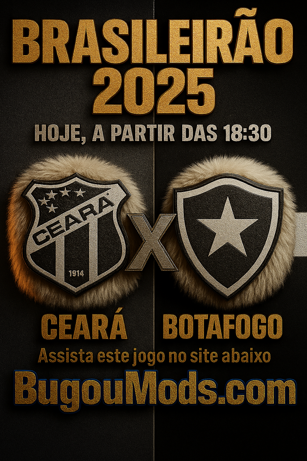 Pôster de Ceará x Botafogo